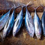ventajas de consumir pescado azul