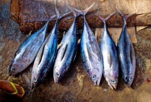 ventajas de consumir pescado azul