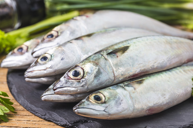 Qué pescados contienen mayor omega 3