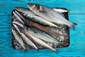 cuanto dura el pescado en el hielo